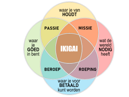 Het IKIGAI-model